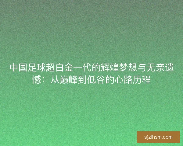 中国足球超白金一代的辉煌梦想与无奈遗憾：从巅峰到低谷的心路历程