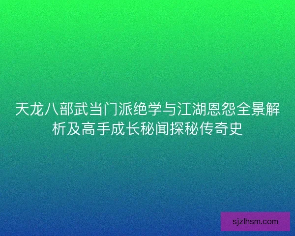 天龙八部武当门派绝学与江湖恩怨全景解析及高手成长秘闻探秘传奇史