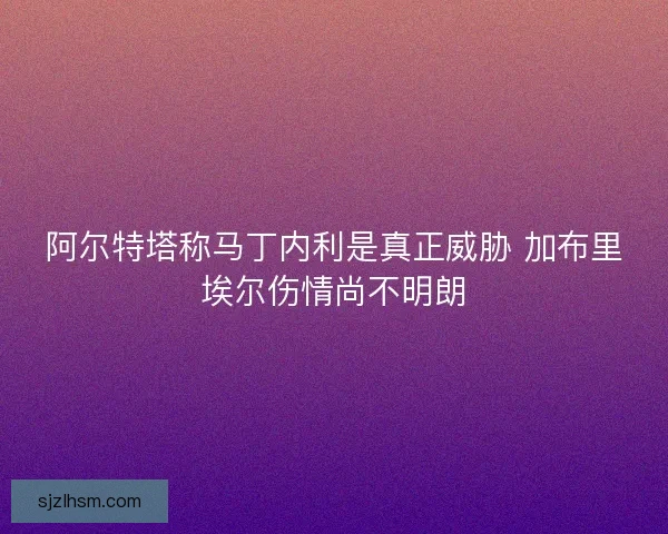 阿尔特塔称马丁内利是真正威胁 加布里埃尔伤情尚不明朗 阿尔特塔称马丁内利是真正威胁 加布里埃尔伤情尚不明朗