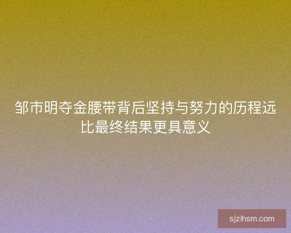邹市明夺金腰带背后坚持与努力的历程远比最终结果更具意义