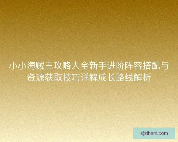 小小海贼王攻略大全新手进阶阵容搭配与资源获取技巧详解成长路线解析